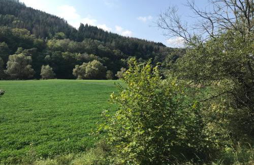Ebenerdige Ferienwohnung im Luftkurort Dodenau - Foto 26