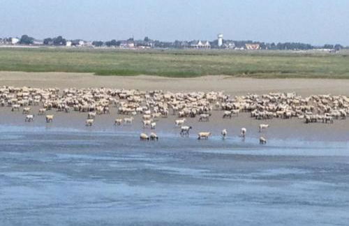 AUTHENTIQUE MAISON DE PECHEUR ENTRE-TERRE & MER Avec Un POÊLE À BOIS A Disposition - Foto 20
