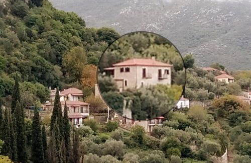 Levantes Mansion - Photo 2