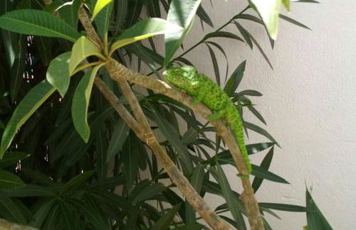 Casa Esparto - Foto 8