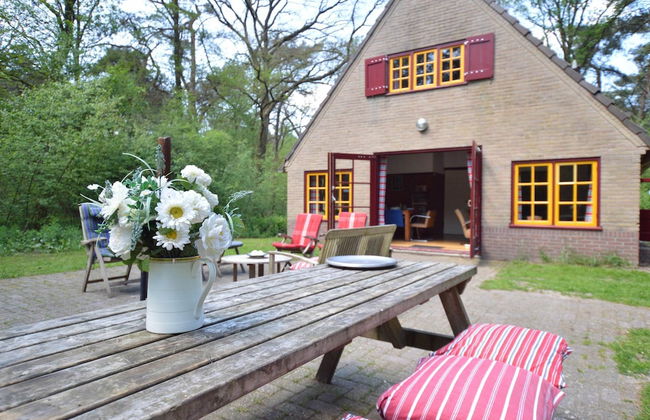 Cozy Holiday Home near Forest in Zuidwolde - Foto 22