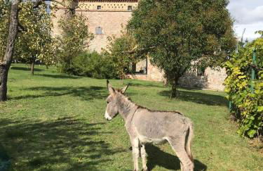 La Fortezza Alta - Foto 41