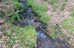 Chez Nave au pied du Meygal - Foto 34