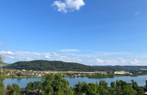 Rheinblick Apartment 3 - Foto 24