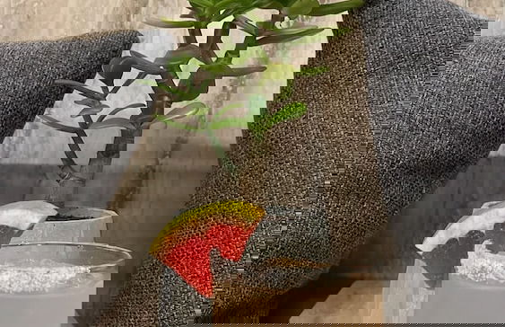 ZUR Studios & Suites - Foto 57