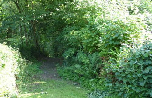 Ty Cam Abercych - Foto 20