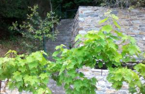 Pilion-Unique House at the Aegean Sea - Photo 15