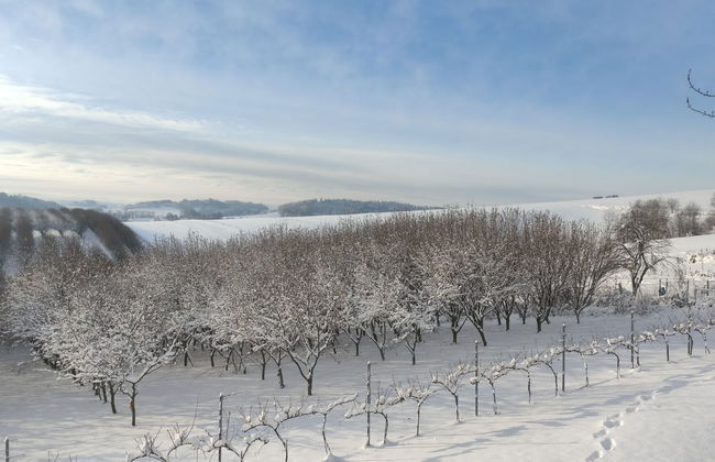 Moja Mała Toskania - Foto 69