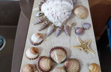 Villa Blue Flag - Foto 22