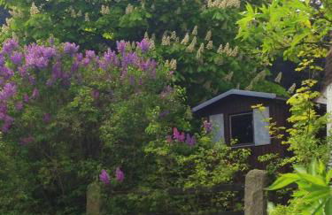 Antjes kleines Nest - Foto 21