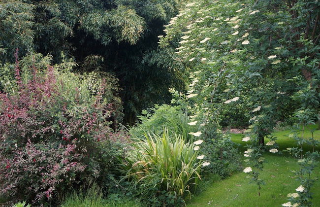 Apartamentos La Collada - Photo 39