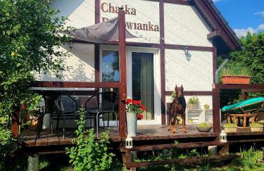 DOMEK CHATKA BUKOWIANKA w Bukowcu koło Karpacza - Foto 14