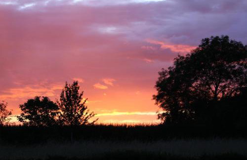 Entire flat 2 to 4 pers 1 bed 1 bath disabled access for limited disability - Foto 5