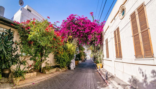 Jaffa and Neve Tzedek Walking Tour - Photo 5