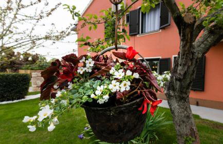 Villa Roza - Foto 15