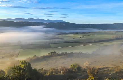 Berrobiaenea naturaleza y armonia - Foto 31