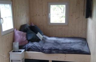 Rhumeblume - Foto 10