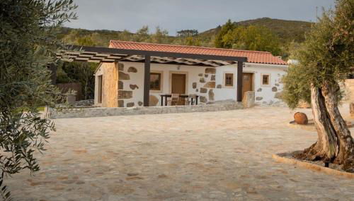 Holiday Home in Alvados - Foto 5