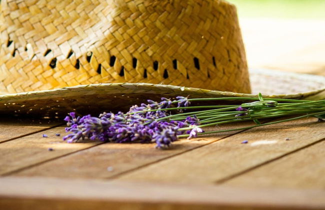 Holiday Apartment Am Buchbuhl - Foto 18