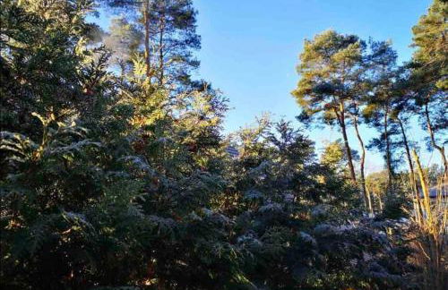 FEWO PARTNERS Haus Clemens - Gemütliches Holzhaus mit Grundstück nahe Badesee - Photo 26