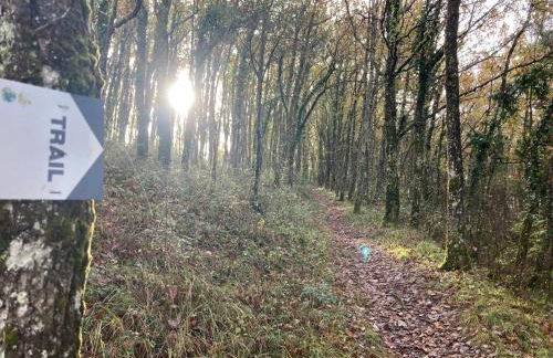 Au petit bonheur - Foto 16