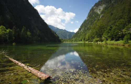 Ferienwohnung in den Ruhpoldinger Bergen - Foto 55