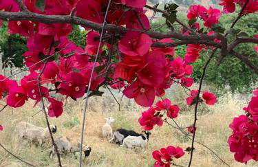 Farmers House - Foto 78