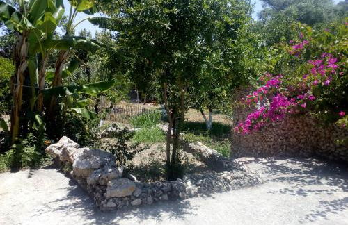 Lila's house - Photo 42