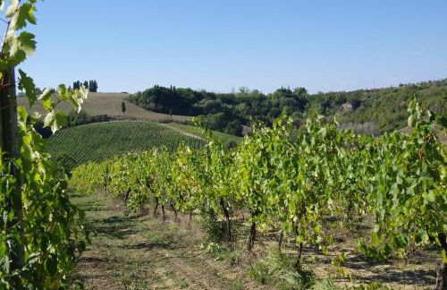 Il Gufo del Chianti - Foto 35