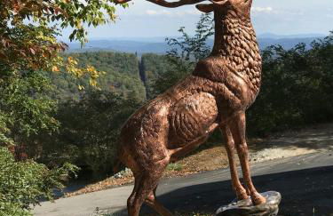 Unique Rustic Barn Theme home Amazing views! Luxe - Foto 20