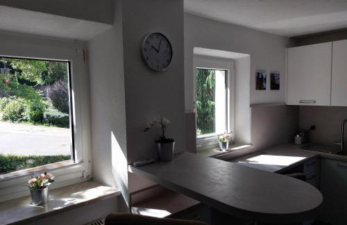 Haus Am Stadtschloss FeWo 3 Zimmer Küche Bad - Foto 14