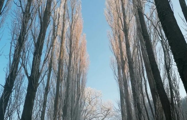 Captivating 1-bed Cottage in Ross-on-wye - Foto 15