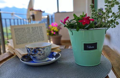 Apartman Maslina - Foto 29