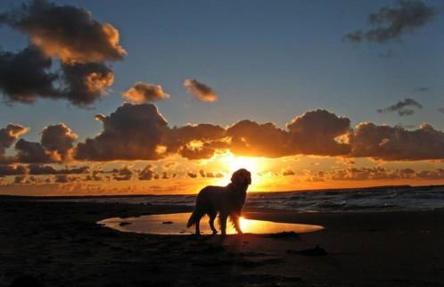 Haus Renate - Foto 20