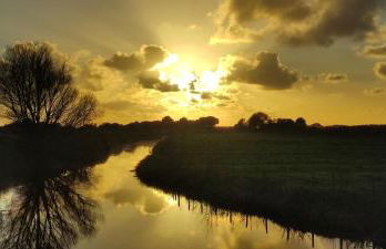 Le Bout des Dunes, baie de Somme - Foto 27