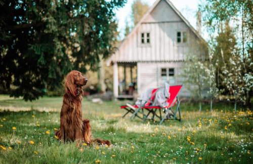 Large, atmospheric cottage in the countryside - Foto 22