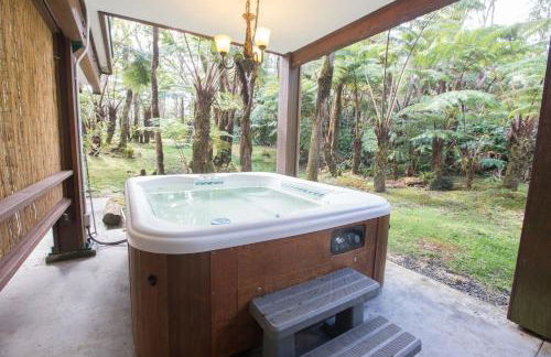 Hale Mauna Loa Upper Level with shared Hot Tub - Foto 14