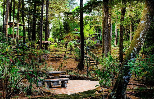 Cabañas Lunas del Poas - Foto 32