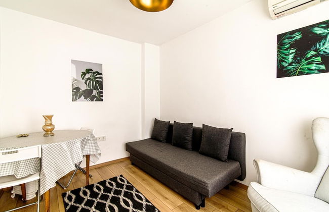Single House Luminous and Chic Flat in Fatih - Photo 1