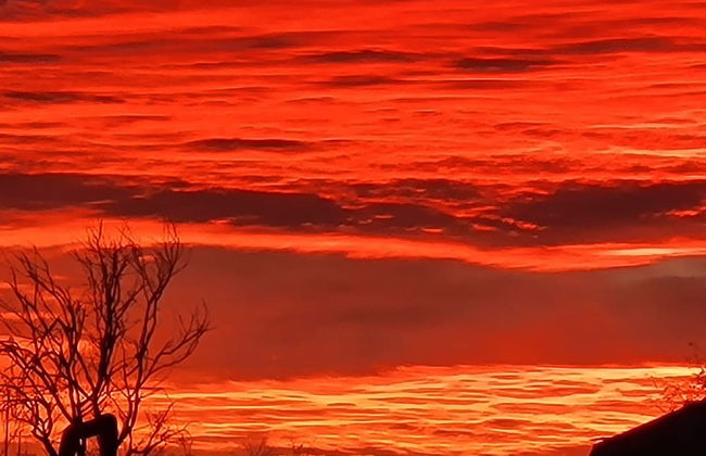 Double R Guest Ranch - Photo 28