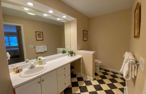 FV50 Pet friendly single level home in Bretton Woods walk to golf course and Mt Washington Hotel - Foto 18