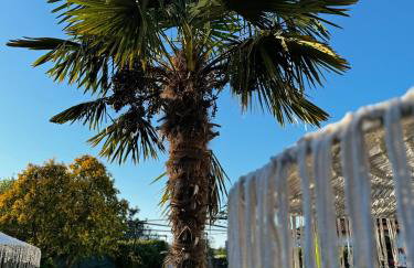 Villa Vaso with jacuzzi - Foto 20