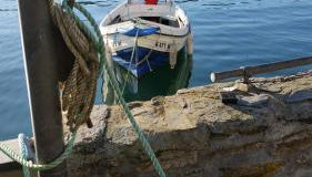 Reed's of Fowey - Foto 2