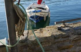 Reed's of Fowey - Foto 2