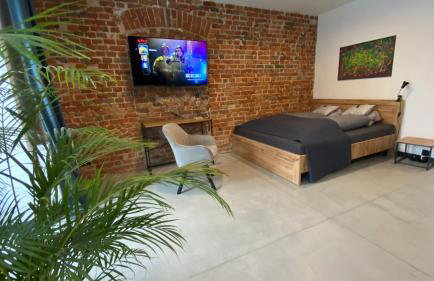 Apartamenty Gliwice Staromiejska 65 - Foto 56