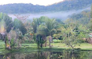 Rancho Refugio Verde AL - Foto 62