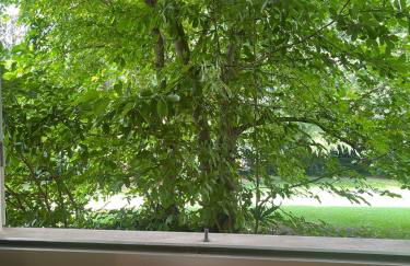 La Tortora - Photo 56