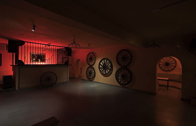 Alsisar Mahal - A Heritage Hotel - Foto 55