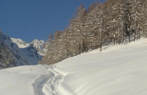 Residence Cavallino - Foto 7