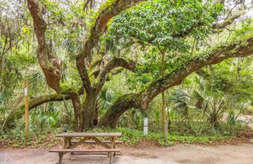 Cobalt Cottage History at your doorstep - Foto 61